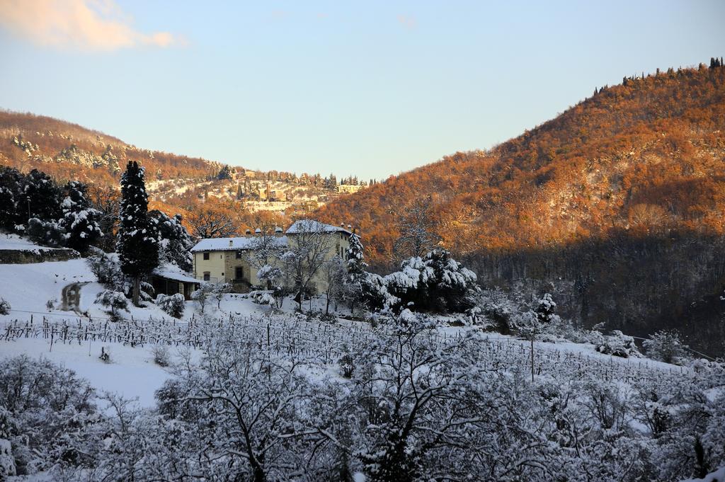 Tenuta Dei Cavalieri Molino del Piano Екстер'єр фото
