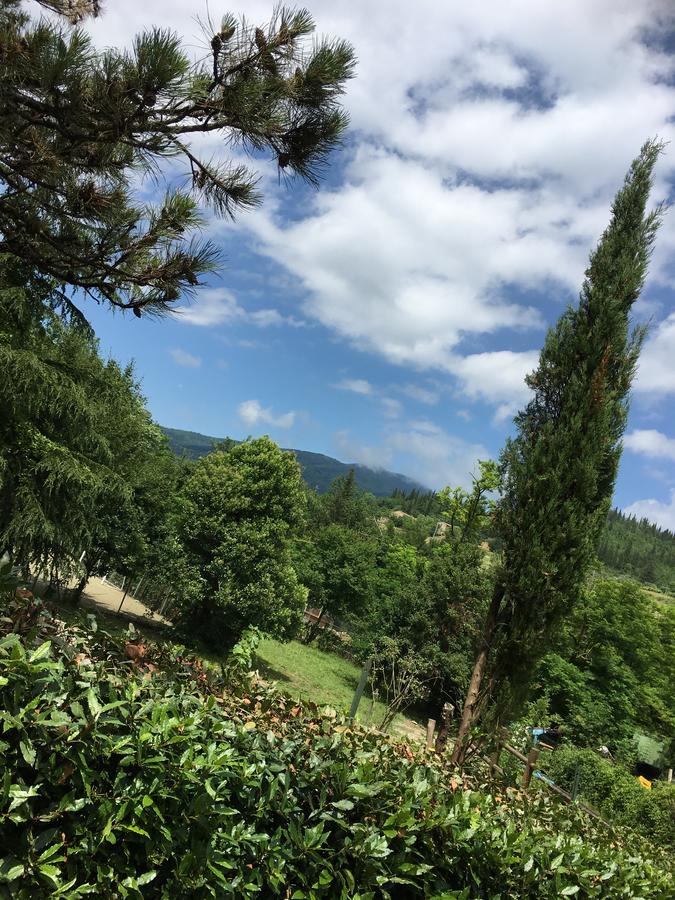 Tenuta Dei Cavalieri Molino del Piano Екстер'єр фото