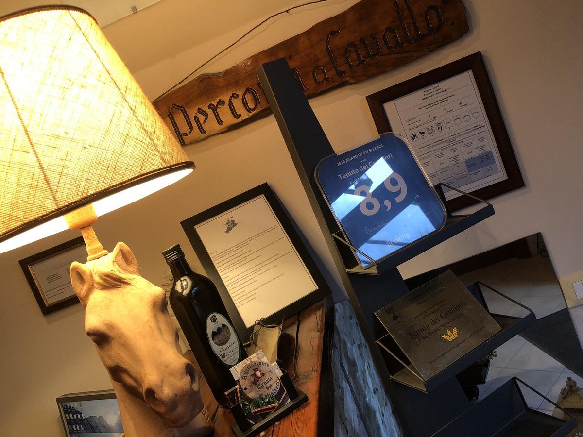 Tenuta Dei Cavalieri Molino del Piano Екстер'єр фото